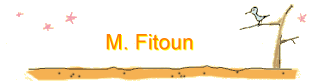 M. Fitoun