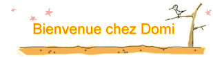 Bienvenue chez Domi