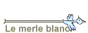 Le merle blanc